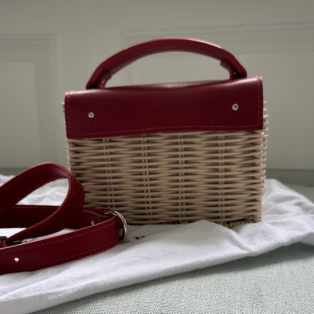 Wicker Wings Mini Crossbody Bag